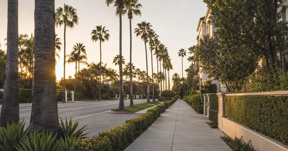 Palm-lined coastal walkway in Santa Monica